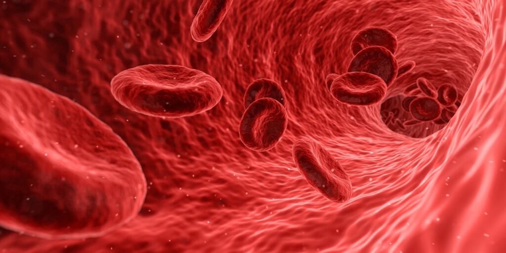 boost immune system.