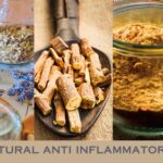 Best Natural Anti Inflammatory Herbs